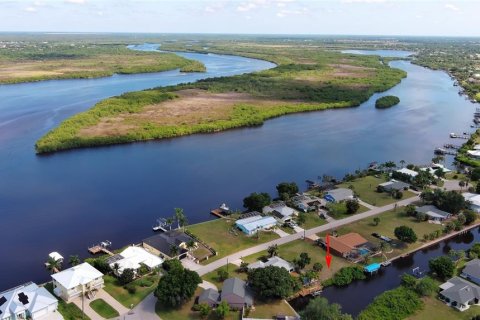 Land in Punta Gorda, Florida № 2165947 - photo 3