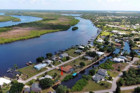 Land in Punta Gorda, Florida № 2165947 - photo 11