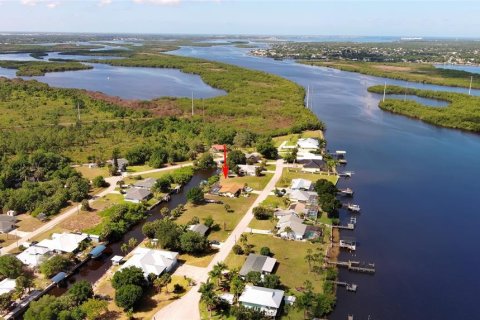 Land in Punta Gorda, Florida № 2165947 - photo 9