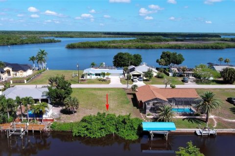 Land in Punta Gorda, Florida № 2165947