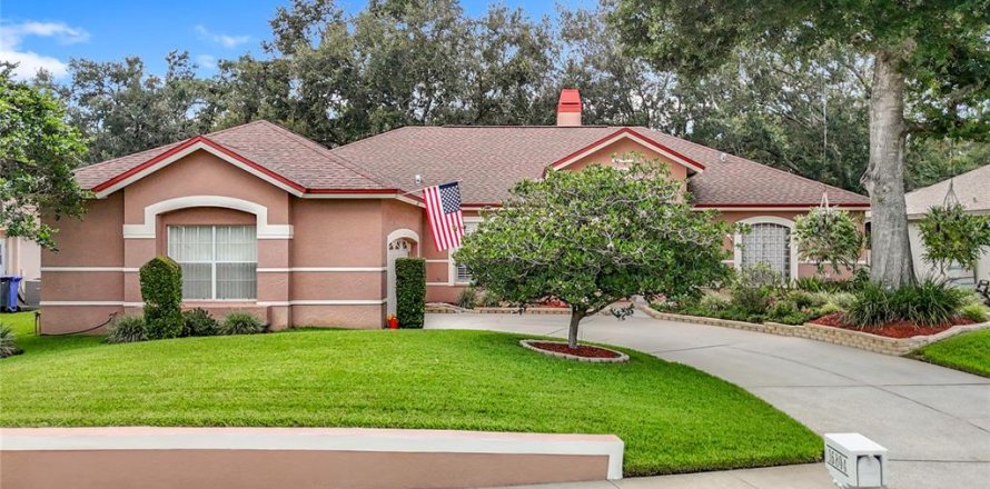 House in Lutz, Florida 4 bedrooms, 216.18 sq.m. № 1856287