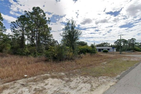 Land in Lehigh Acres, Florida № 2402747 - photo 2