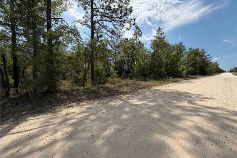 Land in Bronson, Florida № 2166185 - photo 10