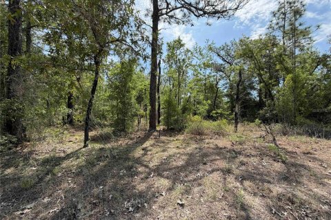 Land in Bronson, Florida № 2166185 - photo 2