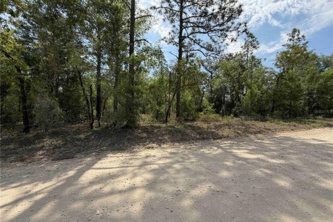 Land in Bronson, Florida № 2166185 - photo 9