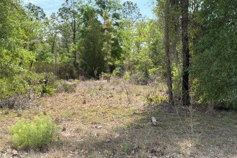 Land in Bronson, Florida № 2166185 - photo 4