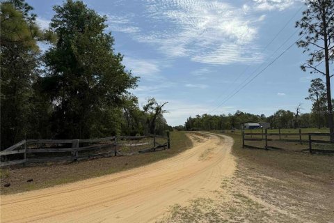 Land in Bronson, Florida № 2166185 - photo 8