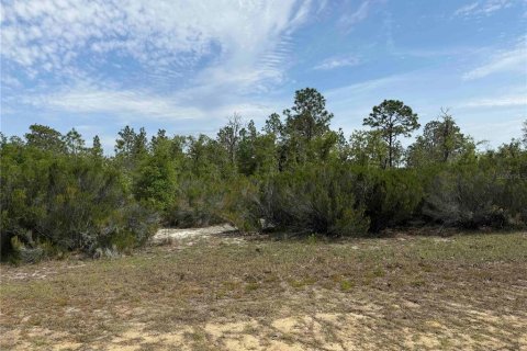 Land in Bronson, Florida № 2166185 - photo 5