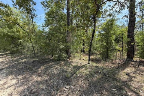 Land in Bronson, Florida № 2166185 - photo 3