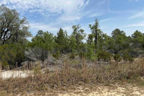 Land in Bronson, Florida № 2166185 - photo 7