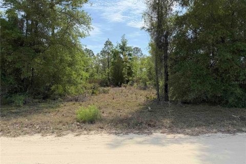 Land in Bronson, Florida № 2166185 - photo 6