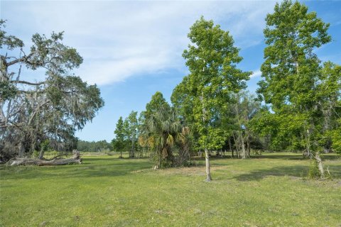 Land in Webster, Florida № 1679558 - photo 24