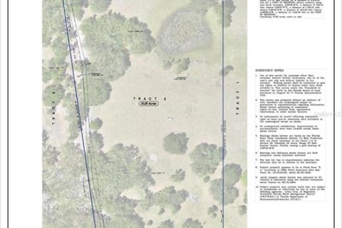 Land in Webster, Florida № 1679558 - photo 4