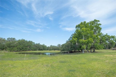 Land in Webster, Florida № 1679558 - photo 8