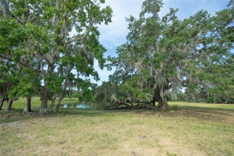 Land in Webster, Florida № 1679558 - photo 18