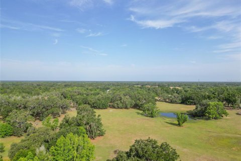 Land in Webster, Florida № 1679558 - photo 26