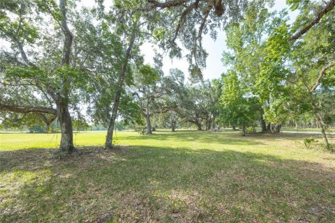 Land in Webster, Florida № 1679558 - photo 25