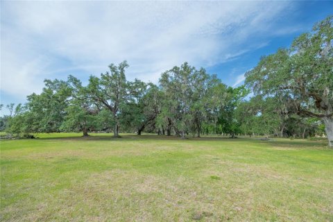 Land in Webster, Florida № 1679558 - photo 2