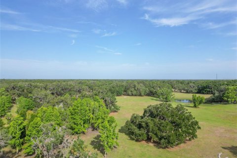 Land in Webster, Florida № 1679558 - photo 22