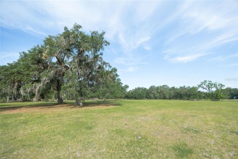 Land in Webster, Florida № 1679558 - photo 21