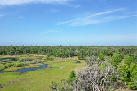 Land in Webster, Florida № 1679558 - photo 28