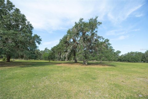 Land in Webster, Florida № 1679558 - photo 20