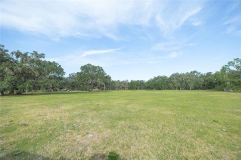 Land in Webster, Florida № 1679558 - photo 19
