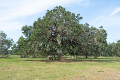 Land in Webster, Florida № 1679558 - photo 23