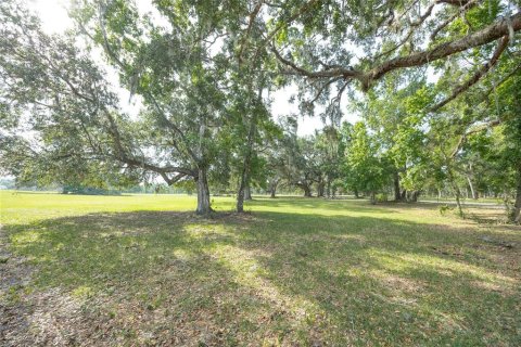 Land in Webster, Florida № 1679558 - photo 27