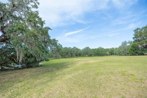 Land in Webster, Florida № 1679558 - photo 17