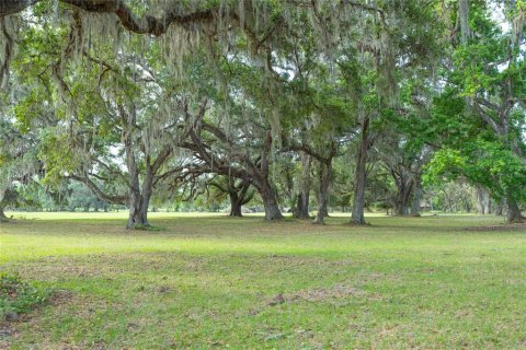 Land in Webster, Florida № 1679558 - photo 6
