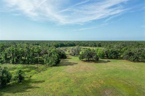 Land in Webster, Florida № 1679558 - photo 1