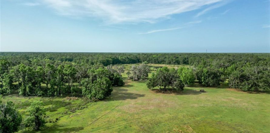 Land in Webster, Florida № 1679558