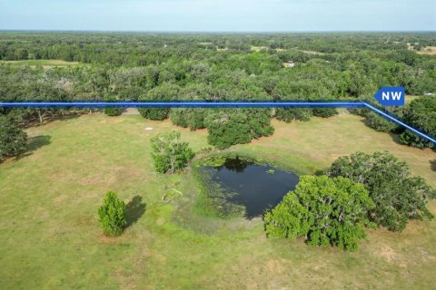 Land in Webster, Florida № 1679558 - photo 13