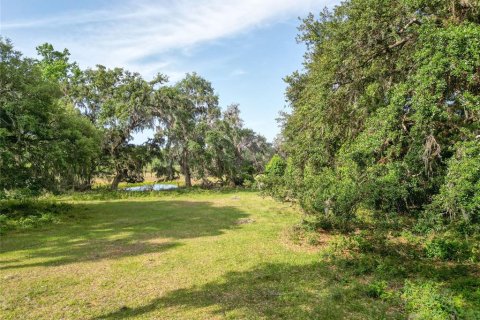 Land in Webster, Florida № 1679558 - photo 30
