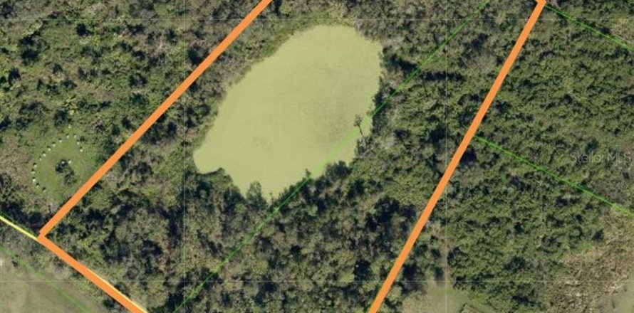 Terrain à Wimauma, Floride № 2235168