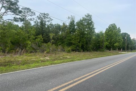 Land in Bronson, Florida № 1762017 - photo 3
