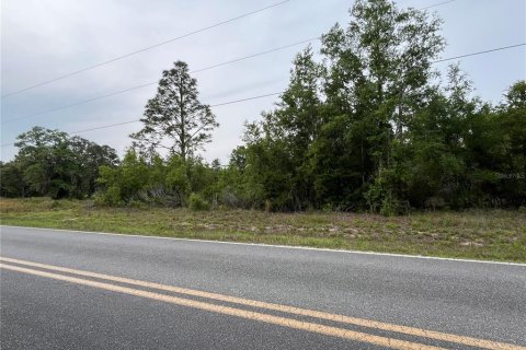 Land in Bronson, Florida № 1762017 - photo 4