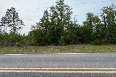 Land in Bronson, Florida № 1762017 - photo 6