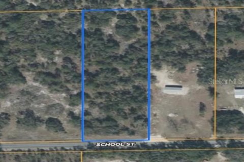 Land in Bronson, Florida № 1762017 - photo 2
