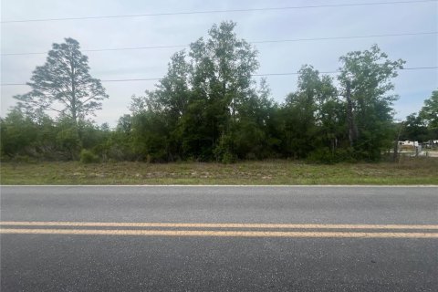 Land in Bronson, Florida № 1762017 - photo 1
