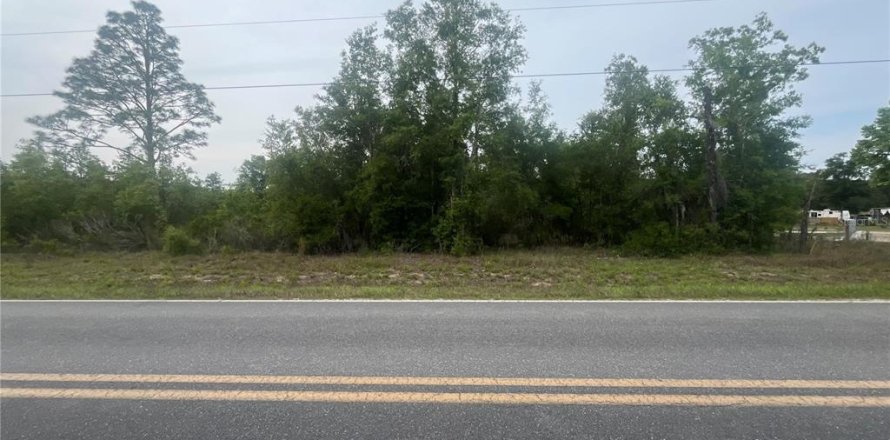 Land in Bronson, Florida № 1762017