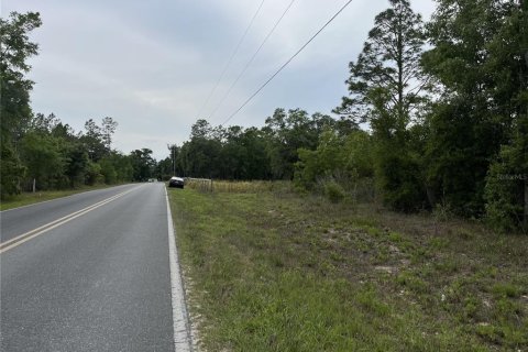 Land in Bronson, Florida № 1762017 - photo 5