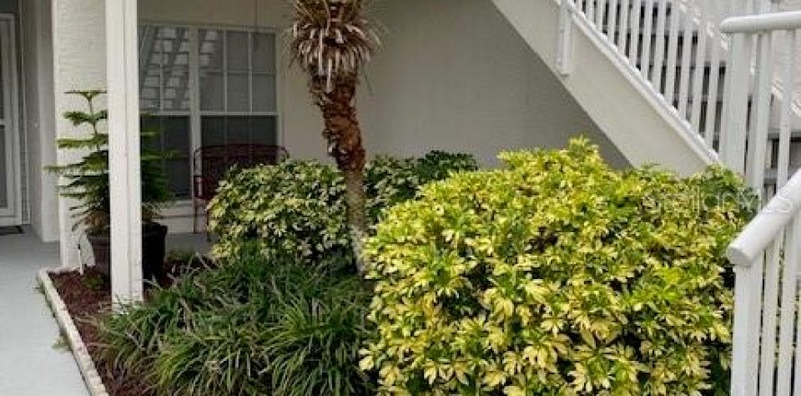 Condo à Largo, Floride, 2 chambres № 1840419