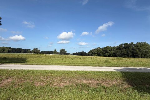 Land in Altoona, Florida № 2258610 - photo 2