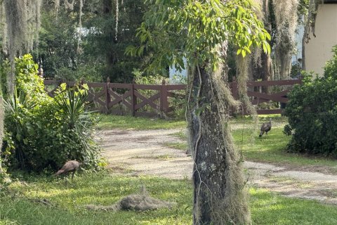 Land in Altoona, Florida № 2258610 - photo 3