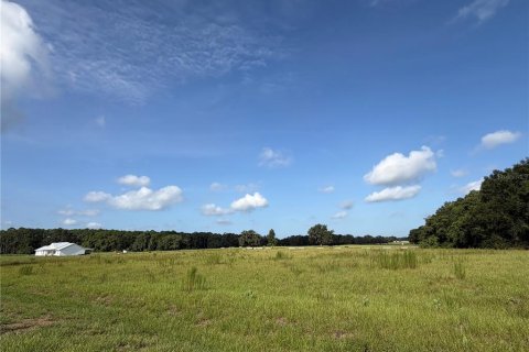 Terrain à Altoona, Floride № 2258610