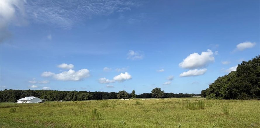 Land in Altoona, Florida № 2258610