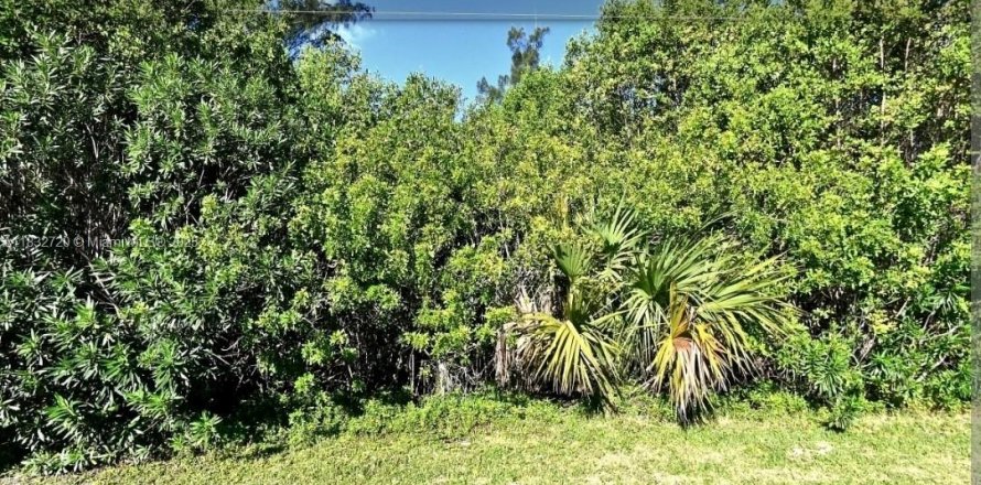 Terreno en St. Lucie, Florida № 1818345