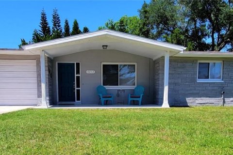 Villa ou maison à Holiday, Floride 2 chambres, 78.04 m2 № 2434984